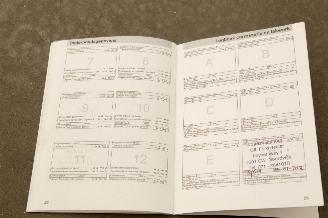 Ford S-Max 2.0-16V 7Pers. Airco picture 19