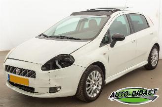 Avarii autoturisme Fiat Grande Punto 1.4 Airco Pano NeroBianco 2010/2