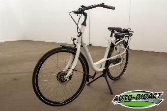 damaged bicycles Stella  Fiore 2020/1