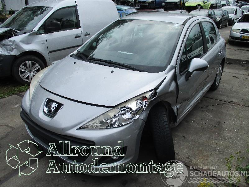 Peugeot 207 207/207+ (WA/WC/WM) Hatchback 1.4 16V Vti (EP3C(8FP)) [70kW]  (06-2007=
/10-2013)