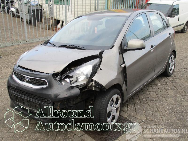 Kia Picanto Picanto (TA) Hatchback 1.0 12V (G3LA) [49kW]  (05-2011/06-2017)