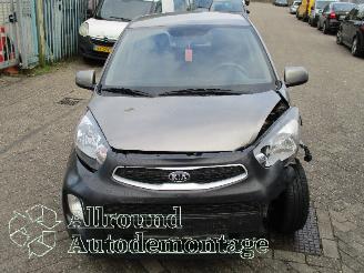 Kia Picanto Picanto (TA) Hatchback 1.0 12V (G3LA) [49kW]  (05-2011/06-2017) picture 5