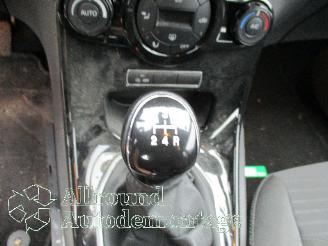 Ford Fiesta Fiesta 6 (JA8) Hatchback 1.0 EcoBoost 12V 100 (SFJA(Euro 5)) [74kW]  (=
01-2013/06-2017) picture 10