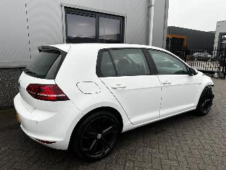 Volkswagen e-Golf e-Golf picture 29