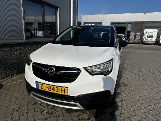 Opel Crossland 1.2 120 Jaar Edition picture 15