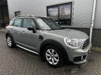 Mini Countryman 1.5 Cooper Salt picture 8