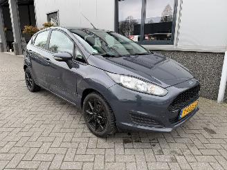 Schadeauto Ford Fiesta 1.25 Trend 2013/6