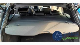 Audi Q5 Q5 (8RB), SUV, 2008 / 2017 2.0 TFSI 16V Quattro picture 19