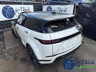Démontage voiture Land Rover Range Rover Range Rover Evoque II (LZC/LZS/LZH), SUV, 2018 2.0 P250 MHEV 16V AWD 2019/8