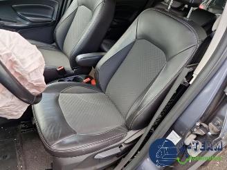Ford EcoSport EcoSport (JK8), SUV, 2013 1.0 EcoBoost 12V 125 picture 21