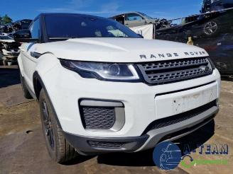 Land Rover Range Rover Range Rover Evoque (LVJ/LVS), SUV, 2011 / 2019 2.0 eD 150 16V 5-drs. picture 7