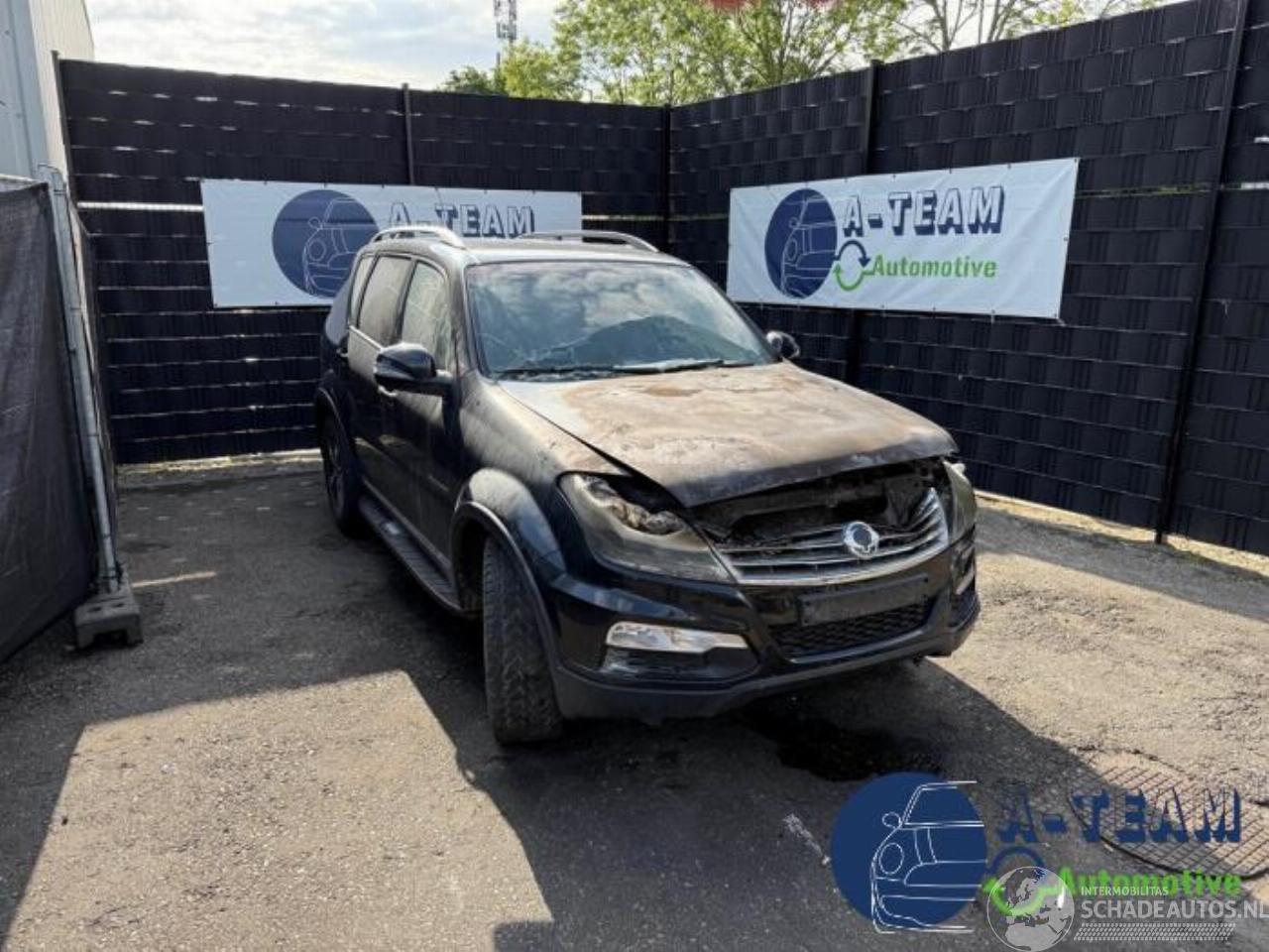 Ssang yong Rexton Rexton W, SUV, 2012 / 2017 2.2 RX 220 E-XDI 16V 4WD