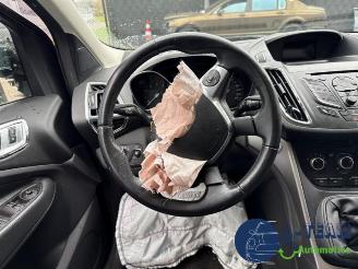 Ford Kuga Kuga II (DM2), SUV, 2012 1.5 EcoBoost 16V 150 picture 23