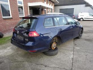 Volkswagen Golf Golf VII Variant (AUVV), Combi, 2013 / 2021 2.0 TDI 4Motion 16V picture 5