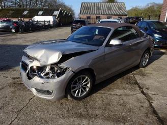 BMW 2-serie 2 serie (F23), Cabrio, 2014 / 2021 218i 1.5 TwinPower Turbo 12V picture 2