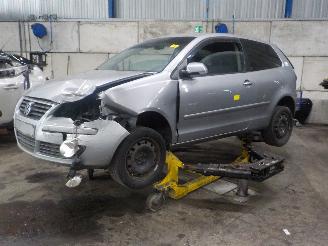 Sloopauto Volkswagen Polo Polo IV (9N1/2/3) Hatchback 1.4 16V (BUD) [59kW]  (05-2006/11-2009) 2008