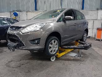 rozbiórka samochody osobowe Ford C-Max C-Max (DXA) MPV 1.0 Ti-VCT EcoBoost 12V 100 (M2DA(Euro 5)) [74kW]  (10=
-2012/06-2019) 2013