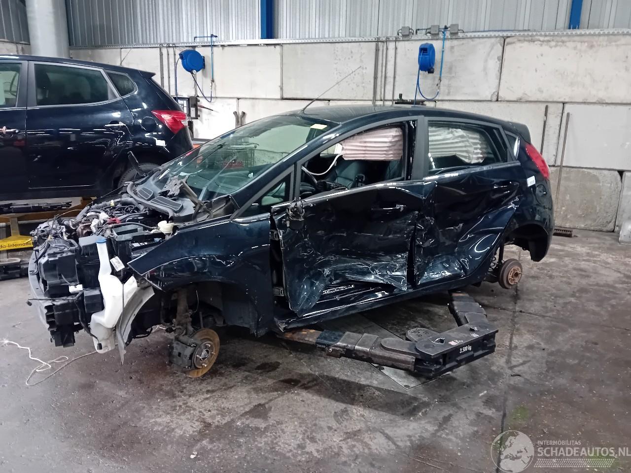 Ford Fiesta Fiesta 6 (JA8) Hatchback 1.0 EcoBoost 12V 100 (SFJA(Euro 5)) [74kW]  (=
01-2013/06-2017)