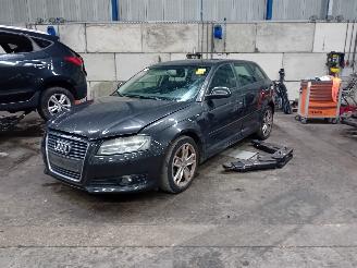 disassembly passenger cars Audi A3 A3 Sportback (8PA) Hatchback 5-drs 1.4 TFSI 16V (CAXC) [92kW]  (09-200=
7/03-2013) 2008/11