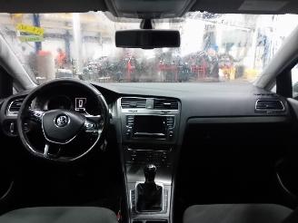 Volkswagen Golf Golf VII Variant (AUVV) Combi 1.6 TDI BlueMotion 16V (CRKB) [81kW]  (0=
5-2013/12-2020) picture 5