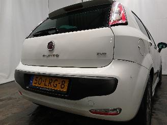 Fiat Punto Punto Evo (199) Hatchback 1.4 16V MultiAir Start&Stop (955.A.6000(Euro=
 5)) [77kW]  (10-2009/02-2012) picture 5