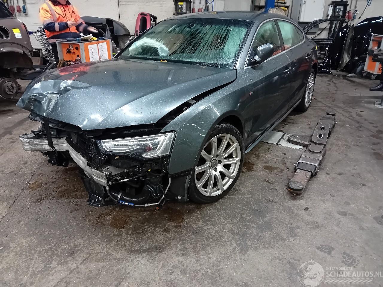 Audi A5 A5 Sportback (8TA) Liftback 1.8 TFSI 16V (CJEB(Euro 5; Euro 6)) [125kW=
]  (08-2011/01-2017)