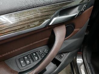 BMW X1 X1 (F48) SUV sDrive 18i 1.5 12V TwinPower Turbo (B38-A15A) [103kW]  (0=
7-2017/06-2022) picture 11