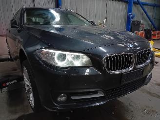BMW 5-serie 5 serie Touring (F11) Combi 525d xDrive 16V (N47-D20D) [160kW]  (07-20=
13/02-2017) picture 2
