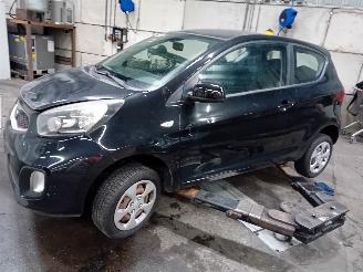 Autoverwertung Kia Picanto Picanto (TA) Hatchback 1.0 12V (G3LA) [51kW]  (05-2011/06-2017) 2012/8