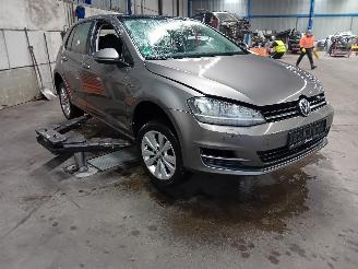 Volkswagen Golf Golf VII (AUA) Hatchback 1.4 TSI 16V (CXSA(Euro 5)) [90kW]  (11-2012/0=
3-2020) picture 2