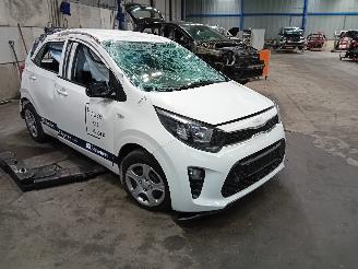 Kia Picanto Picanto (JA) Hatchback 1.0 12V (G3LD) [49kW]  (03-2017/...) picture 2