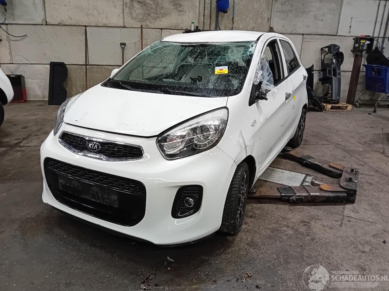 Kia Picanto Picanto (TA) Hatchback 1.0 12V (G3LA) [49kW]  (05-2011/06-2017)