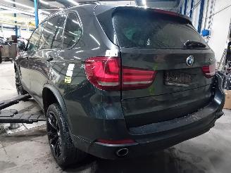 BMW X5 X5 (F15) SUV xDrive 35d 3.0 24V (N57-D30A) [190kW]  (08-2013/07-2018) picture 4