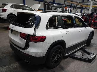 Mercedes GLB GLB (247.6) SUV 2.0 GLB-200d (OM654.920) [110kW]  (08-2019/...) picture 3