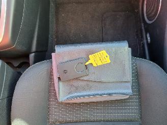 Renault Scenic Grand Scénic III (JZ) MPV 1.4 16V TCe 130 (H4J-700(H4J-A7)) [96kW]  =
(02-2009/12-2016) picture 17