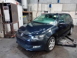 Sloopauto Volkswagen Polo Polo V (6R) Hatchback 1.6 TDI 16V 90 (CAYB(Euro 5)) [66kW]  (06-2009/0=
5-2014) 2009/8
