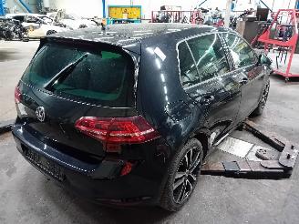 Volkswagen Golf Golf VII (AUA) Hatchback 1.6 TDI BlueMotion 16V (CRKB) [81kW]  (01-201=
3/03-2020) picture 3