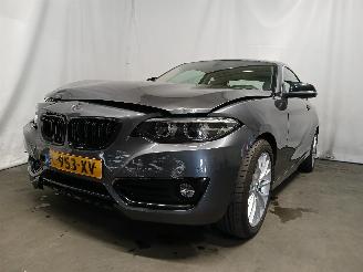 skadebil auto BMW 2-serie 2 serie (F22) Coupé 218i 1.5 TwinPower Turbo 12V (B38-B15A) [100kW] =
 (03-2015/06-2021) 2018/5