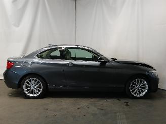 BMW 2-serie 2 serie (F22) Coupé 218i 1.5 TwinPower Turbo 12V (B38-B15A) [100kW] =
 (03-2015/06-2021) picture 7