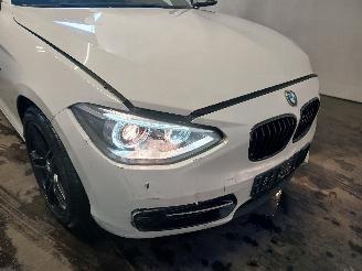 BMW 1-serie 1 serie (F20) Hatchback 5-drs 116i 1.6 16V (N13-B16A) [100kW]  (07-201=
1/02-2015) picture 24