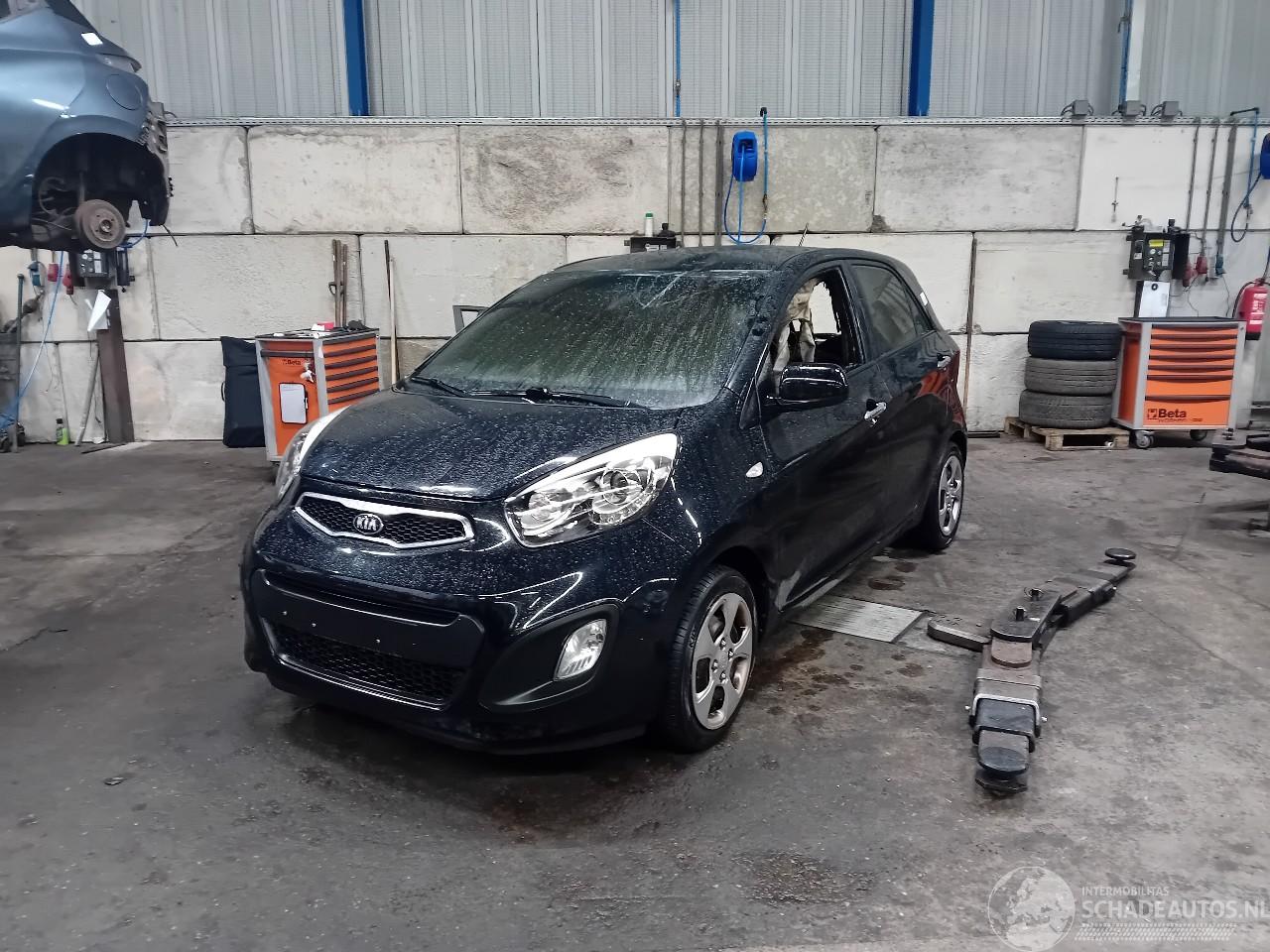 Kia Picanto Picanto (TA) Hatchback 1.0 12V (G3LA) [51kW]  (05-2011/06-2017)