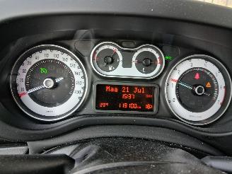 Fiat 500L 500L (199) MPV 0.9 TwinAir Turbo 105 (199.B.6000(Euro 6)) [77kW]  (09-=
2012/...) picture 2