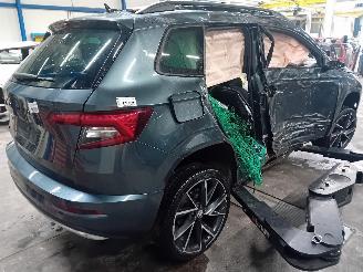 Skoda Karoq Karoq SUV 1.5 TSI 16V (DXDB) [110kW]  (07-2017/...) picture 3