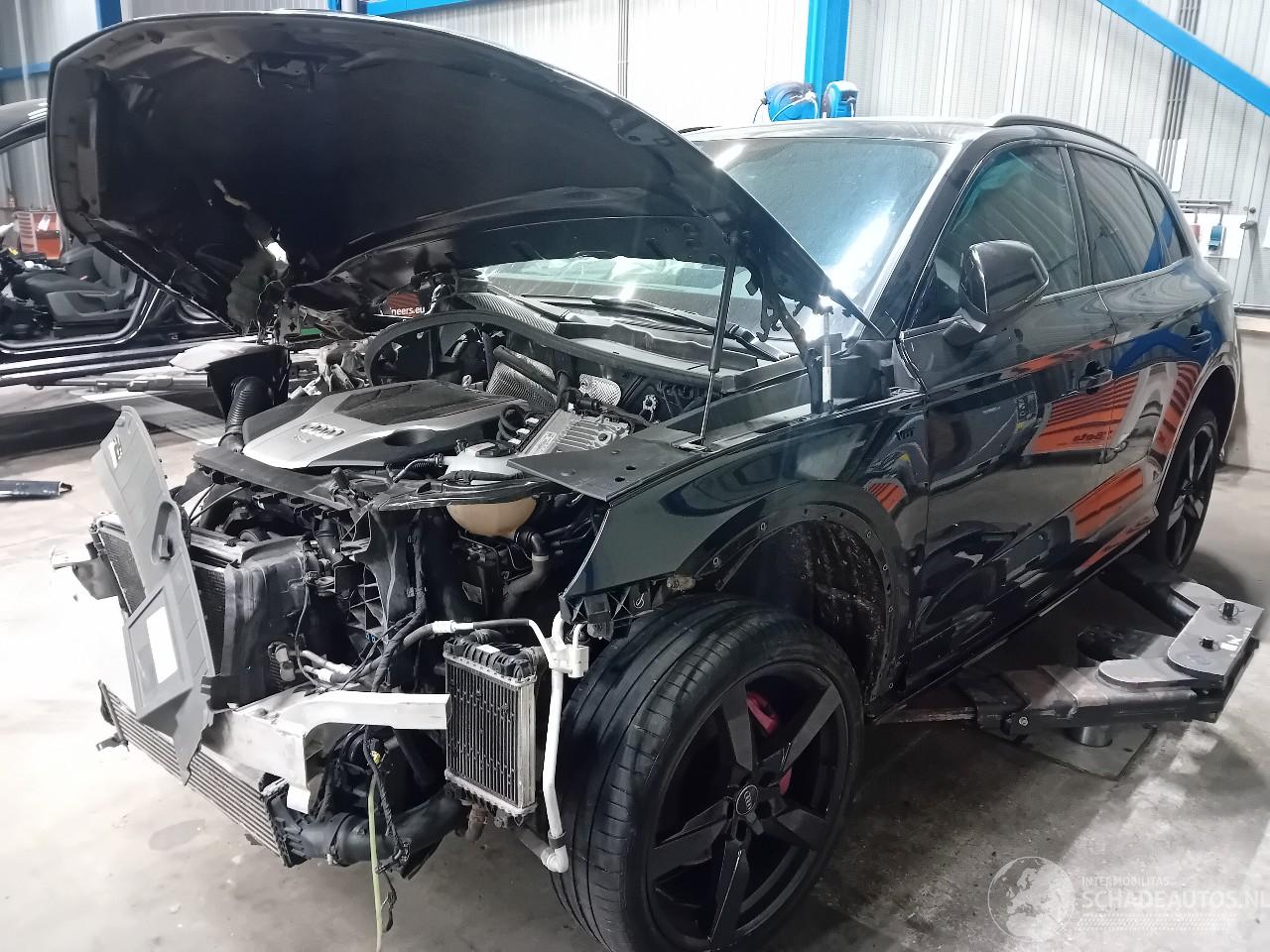 Audi SQ5 SQ5 (FYB/FYG) SUV 3.0 TFSI V6 24V (CWGD) [260kW]  (11-2016/...)