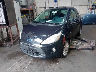 Sloopauto Ford Ka Ka II Hatchback 1.2 (169.A.4000(Euro 4; Euro 5)) [51kW]  (10-2008/05-2=
016) 1980