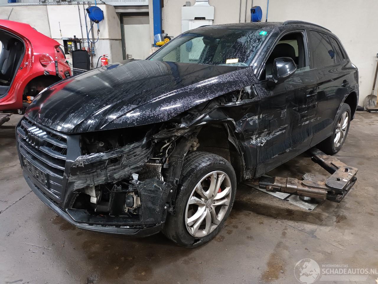 Audi SQ5 SQ5 (FYB/FYG) SUV 3.0 TFSI V6 24V (CWGD) [260kW]  (11-2016/...)