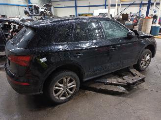 Audi SQ5 SQ5 (FYB/FYG) SUV 3.0 TFSI V6 24V (CWGD) [260kW]  (11-2016/...) picture 3