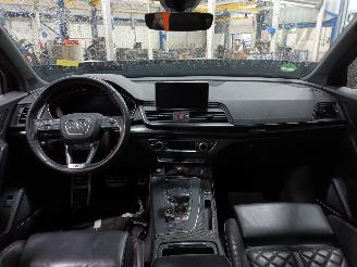 Audi SQ5 SQ5 (FYB/FYG) SUV 3.0 TFSI V6 24V (CWGD) [260kW]  (11-2016/...) picture 5