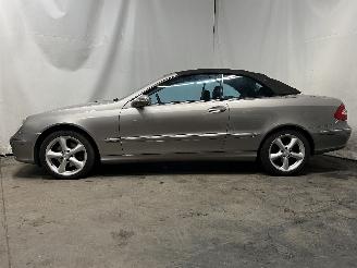 Mercedes CLK CLK (R209) Cabrio 1.8 200 K 16V (M271.940) [120kW]  (02-2003/03-2010) picture 4