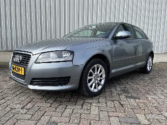 Audi A3 A3 (8P1) Hatchback 3-drs 1.6 TDI 16V (CAYC) [77kW]  (05-2009/08-2012) picture 3